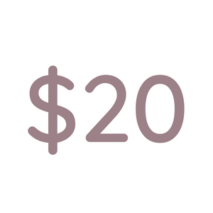 $20.png (16 KB)