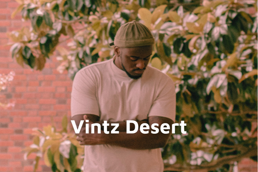 Vintz Desert - Calico Dress