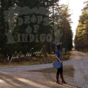 Drops of Indigo A Fork in the Road artwork