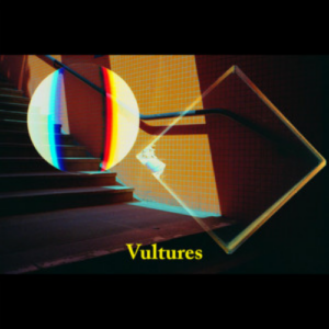 Haunt The Woods Vultures artwork