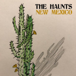 The Haunts New Mexico artwork
