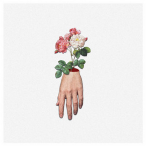 The Penniless Wild Flesh artwork