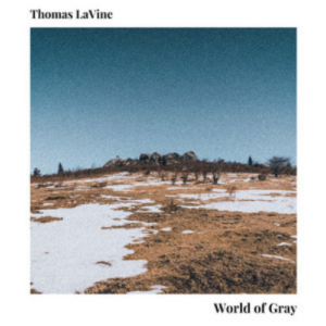 Thomas LaVine World Of Gray artwork
