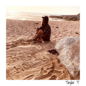 Taylor T Home Not Hollow artwork