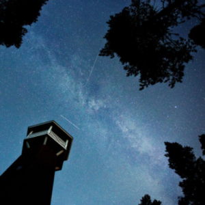 The Satellite Station Need You Right Now artwork