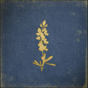 Chavis Chance Bluebonnet Trail artwork