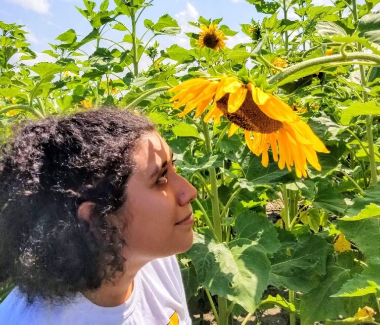 Sunflower Summit - Metronome Heart
