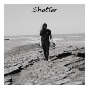 Taylor T Shelter artwork
