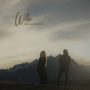 Willo Does Anyone Know artwork