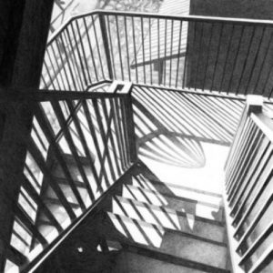 Robert Taira Wilson Blackbird artwork