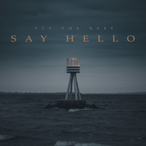 Fly the Nest Say Hello artwork