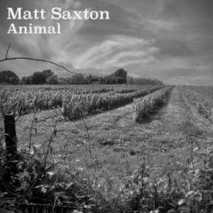 Matt Saxton It’s Only Now That I Know artwork