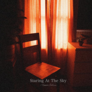 Thomas LaVine Staring At The Sky artwork