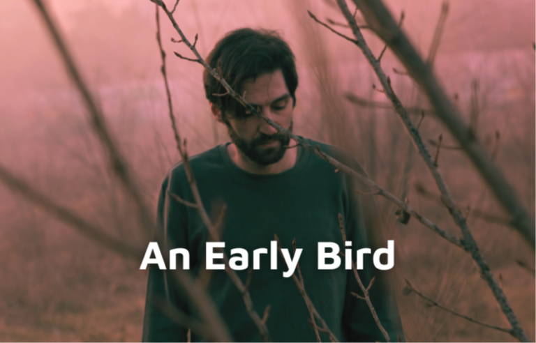 An Early Bird - Lights Off