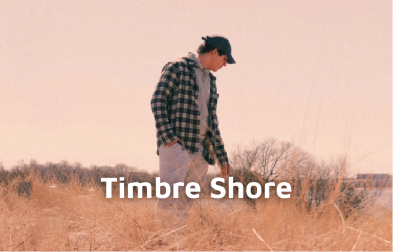 Timbre Shore - Our Destiny