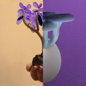The Great Leslie Can’t Touch artwork