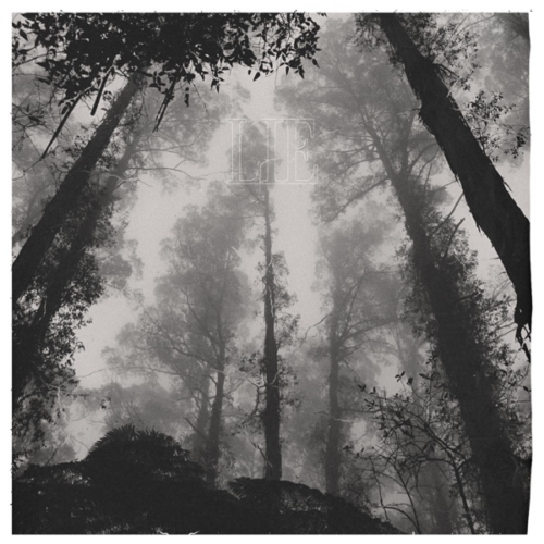 Julia K – Lie