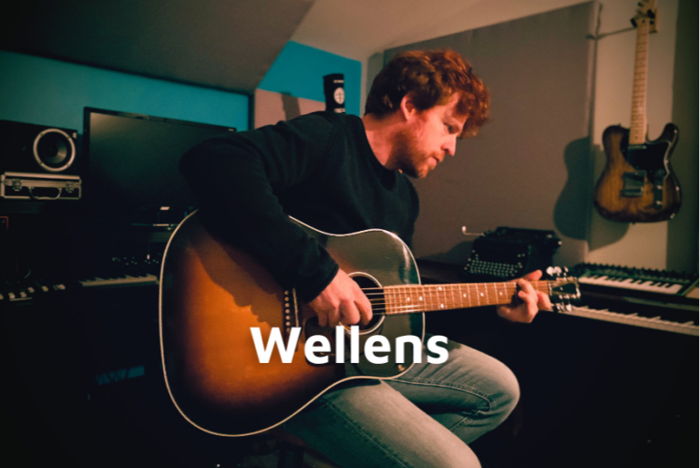 Wellens - Destroyers