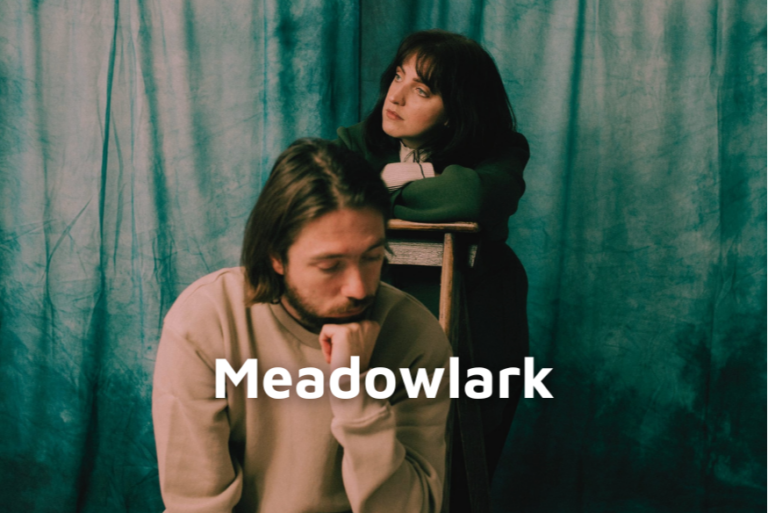 Meadowlark - What's It Like To Love Me
