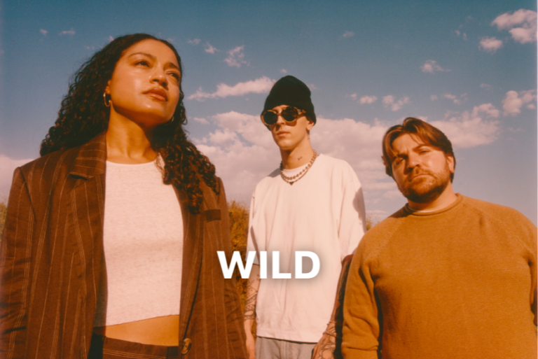 WILD - Getting Started