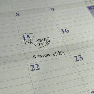 Taylor Lang Fun Shirt Friday artwork