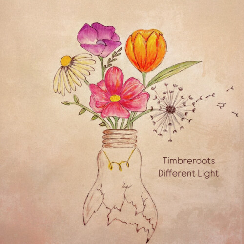 Timbreroots – Different Light