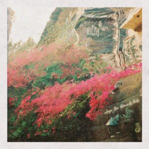 Kylie Rothfield & The Rare Occasions Where The Diamonds Hide artwork