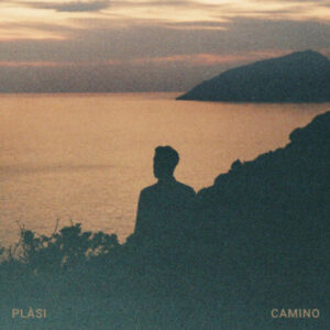 Plàsi Camino artwork