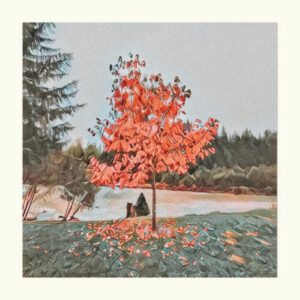 Arbour Season How Great You Are artwork