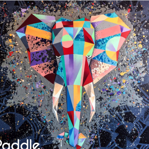 Paddle Paddle