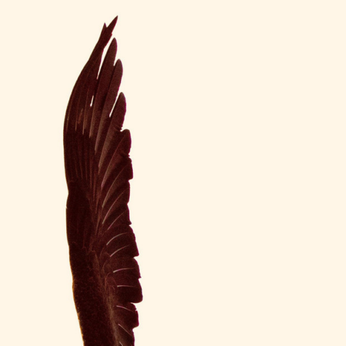 The Nineteen Twenty